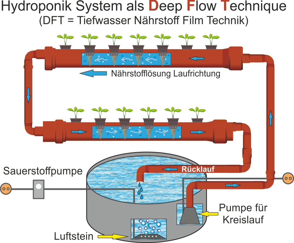 Hydroponics-Systems DFT-System Deep Flow Technique