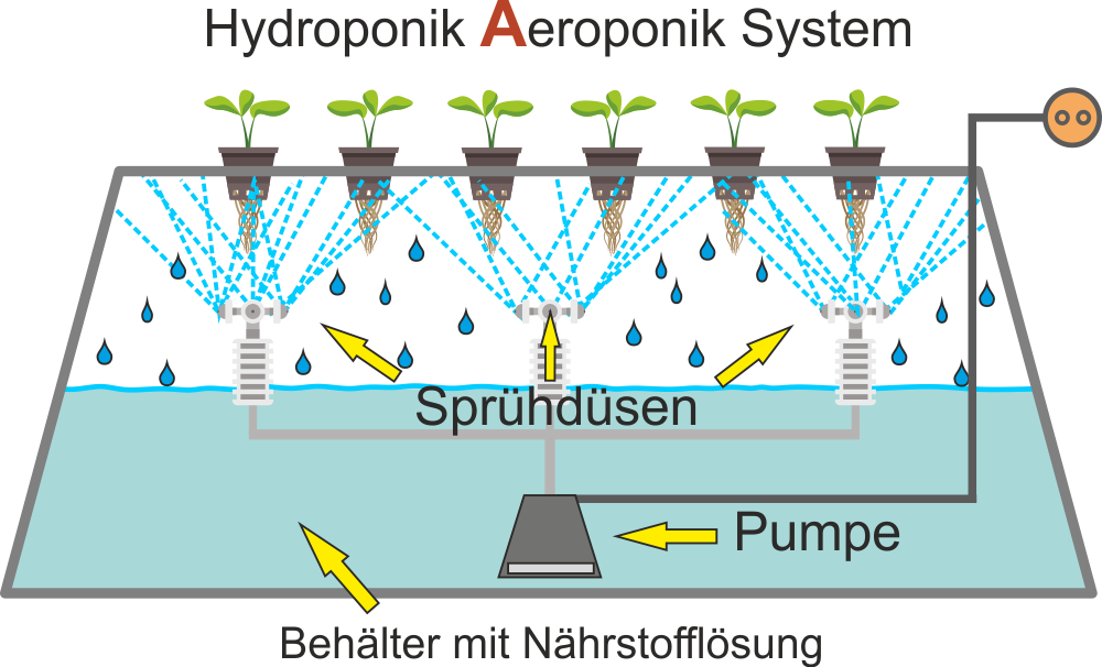 Hydroponik-Aeroponik-System