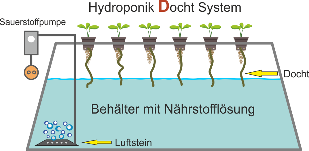 Hydroponik-Docht-System