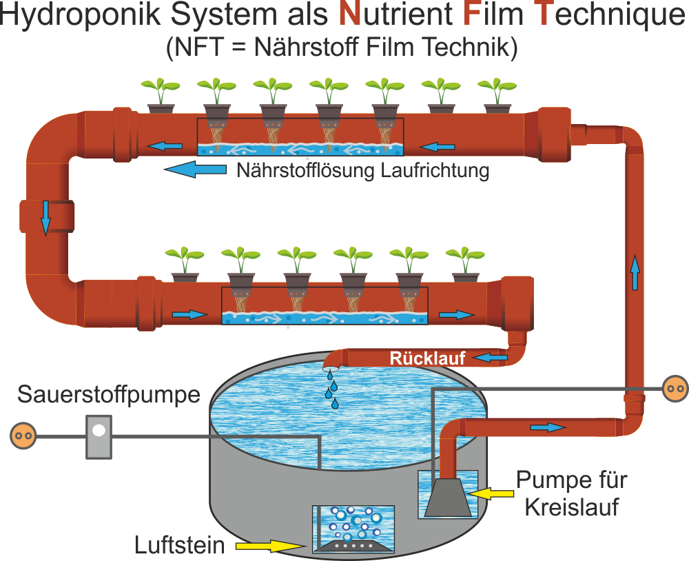 Eine Hydroponik Anlage als NFT-Hydroponik-System-Nutrient-Film-Technique
